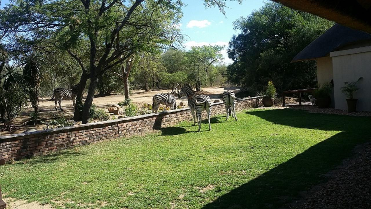 Kusudalweni Safari Lodge & Spa Guernsey Nature Reserve Exterior photo