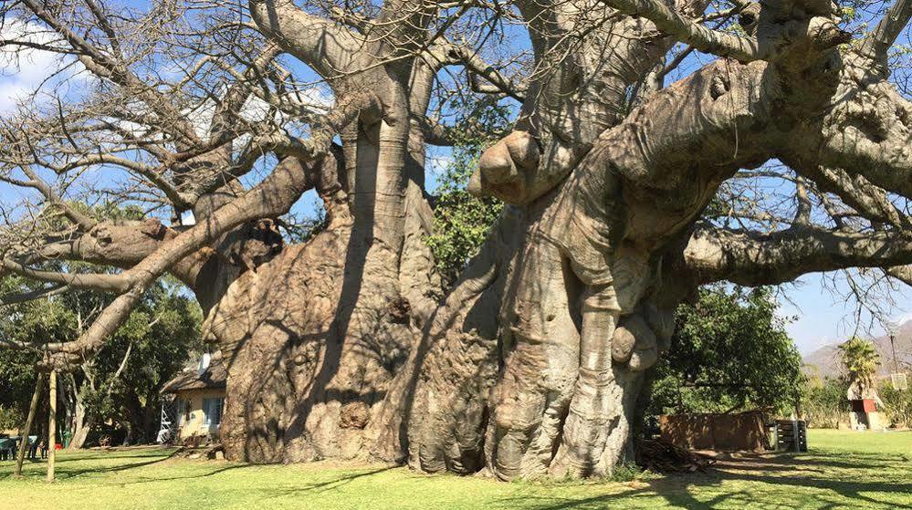 Kusudalweni Safari Lodge & Spa Guernsey Nature Reserve Exterior photo